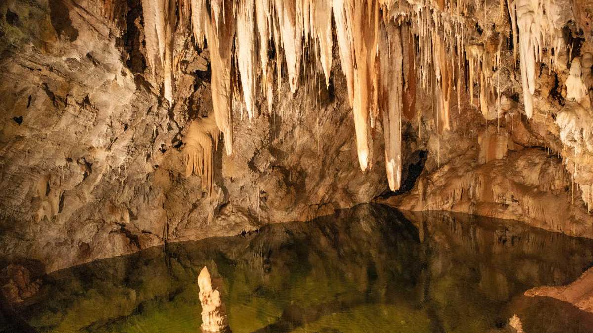 Scoprire Castellana Grotte: Musei, Parchi e Gite Fuori Porta