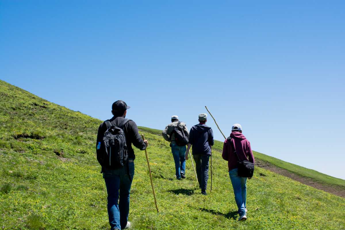 Panorama naturale intorno a Lecce, evidenziando la bellezza dei sentieri